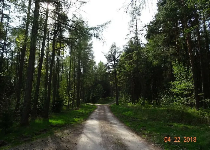 Appartement Zur Scheune Ilmenau